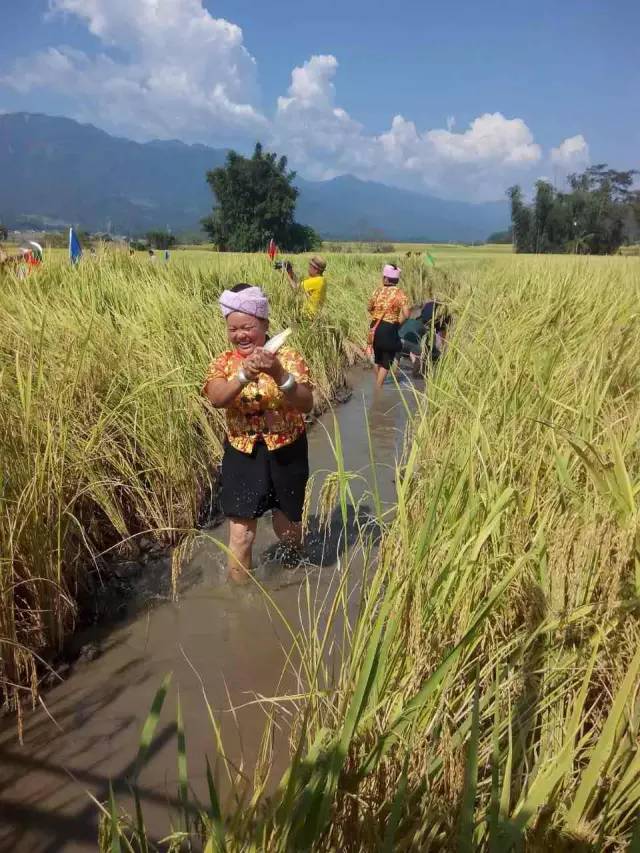 葫芦丝非遗传承人哏德全,葫芦丝大师哏德全故居