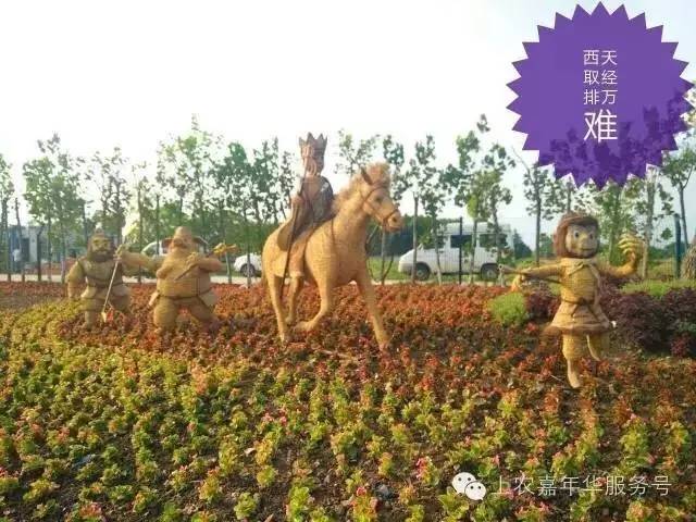 周末上海浦东有什么好玩的,五一上海浦东游玩攻略最全