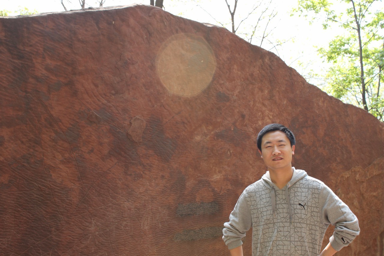 美协花鸟画家作品图片欣赏,花鸟画家李超作品欣赏