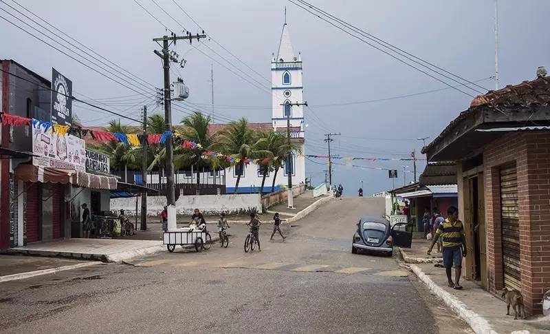 宝莲灯亚马逊,亚马逊雨林的宝莲灯
