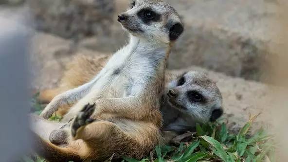 朋友圈发海边泳衣照好不好,朋友圈晒沙滩泳装