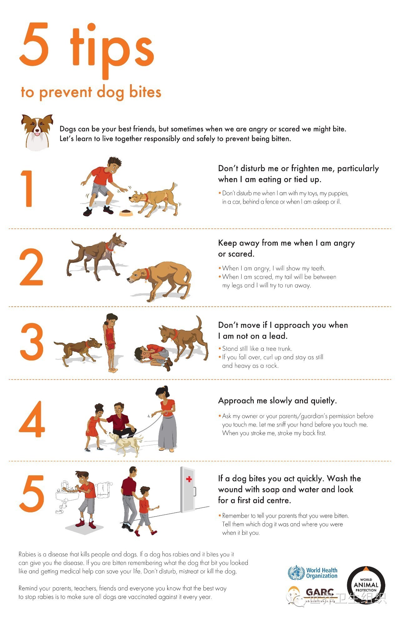 被狗咬预防方法,被狗咬了国际处理法