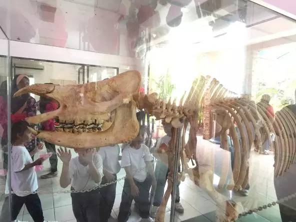 朋友圈发海边泳衣照好不好,朋友圈晒沙滩泳装