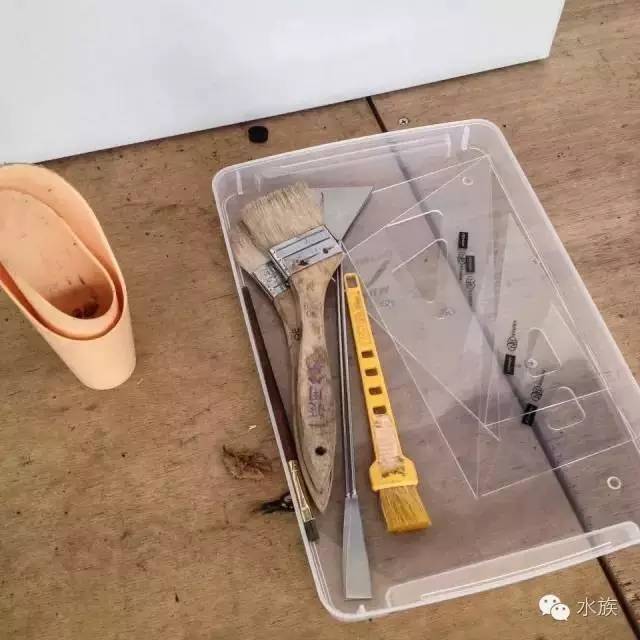 ada开缸第二天,ada开缸