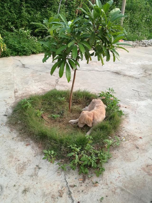 从广州一路向北旅游路线自驾游,一路向南涠洲岛