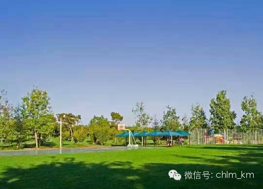 昆明大板桥农家乐的好去处,昆明农家乐烧烤游玩