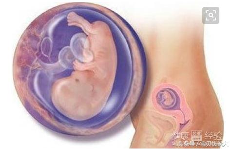 怀孕期间出现甲亢对胎儿有影响吗,怀孕10周检查出甲亢胎儿还能要吗