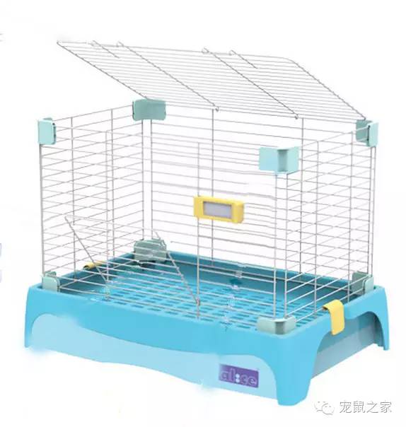 豚鼠各类饲养装备优缺点汇总之上篇