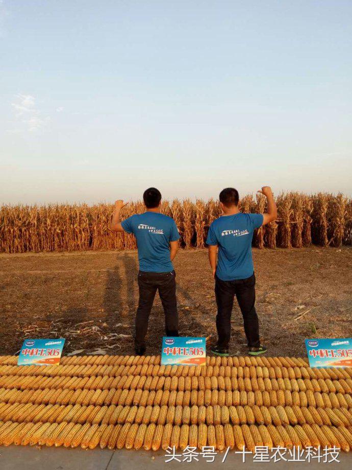 韩俊强吉林,韩俊强讲玉米种子