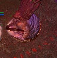 流放之路开荒快速过剧情攻略,流放之路近战剧情开荒攻略