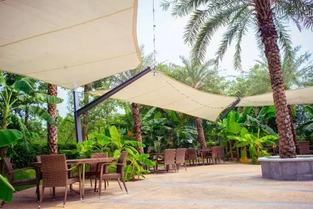 〈花开园〉顺德一间靓到“氹”一声的花园食府，赏花喂牛亲子