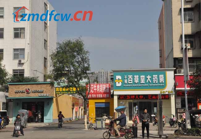 小丫探房合集,小丫看房记之蓝山四季全集