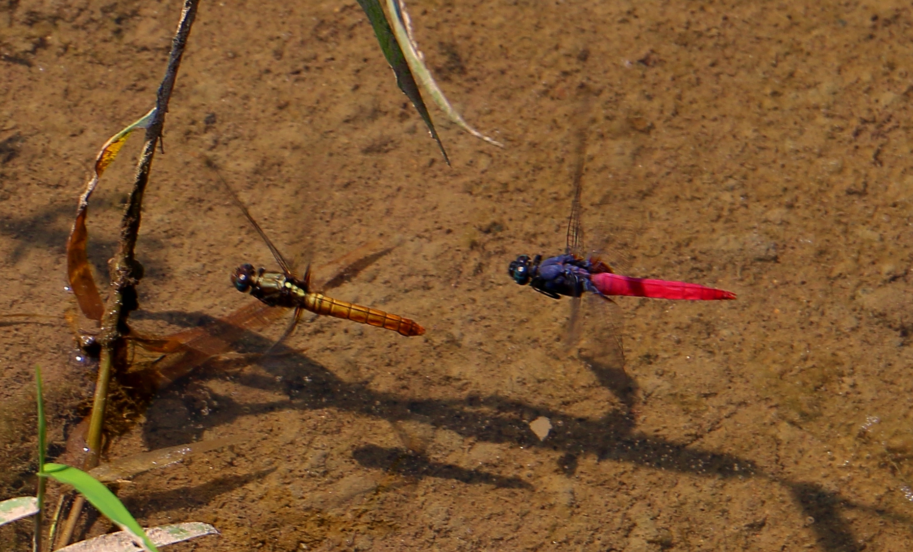 秀出浙江新高度,东阳凤凰谷天澜度假酒店儿童房