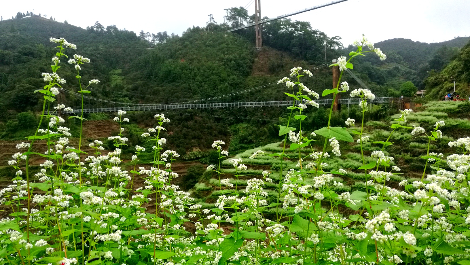 比较有名的四大名楼,公认四大名楼