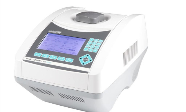 转基因玉米鉴定技巧,玉米转基因鉴定标准有哪些