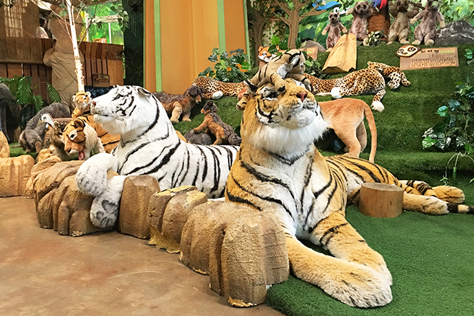 泰迪熊博物馆韩国购物,泰迪熊博物馆韩国图