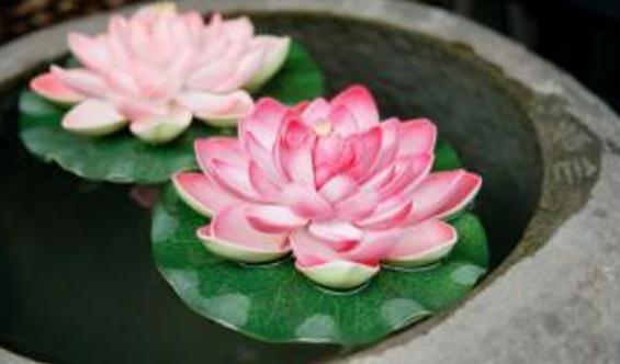 生在几点钟的人，明年不再走霉运，男有钱花、女有桃花