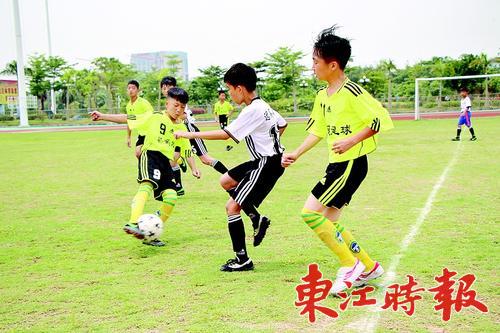 突出学校优势和特色,教有特色学有特点