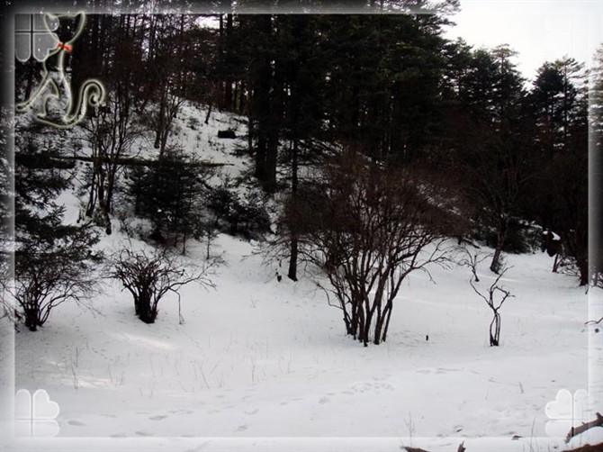 2015游云南玉龙雪山 (昆明玉龙雪山之旅)