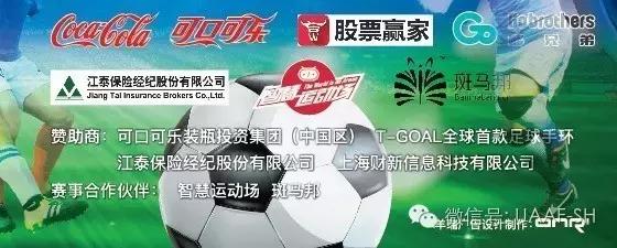 第五届中国高校校友会南京足球赛,校友杯足球赛