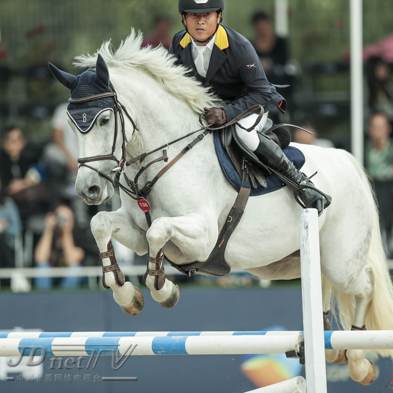 浪琴马术世界杯,浪琴马术赛程