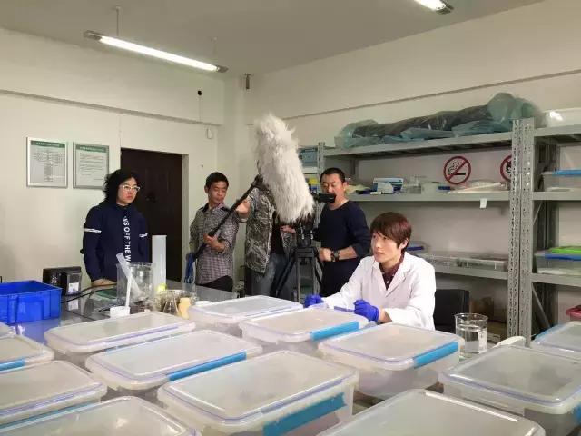 摄制组动态|卢火神附子炮制老官山墓