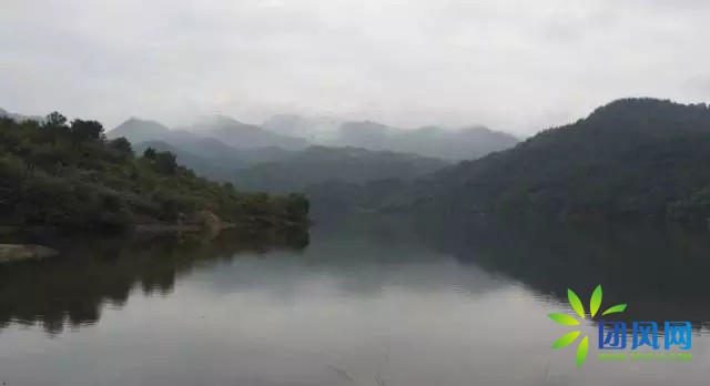 团风深山古稀老人的板栗梦.....