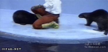 足球翻车搞笑图片,中国足球失误gif爆笑