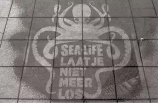 耳熟能详的创意广告,与众不同创意广告