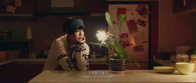 白百何怎么保持身材的,白百何120斤穿搭