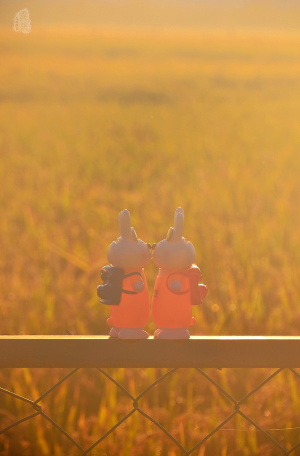 吉林市神农庄园视频,吉林神农庄园温泉度假村