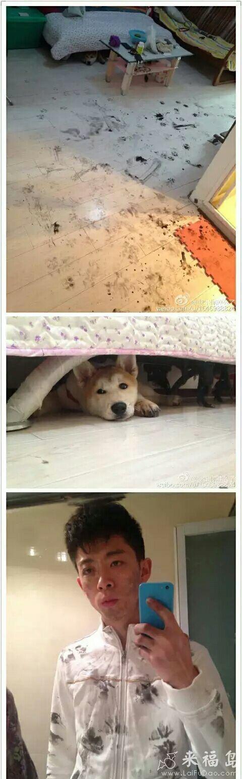 一起奔向了冬日的爱河