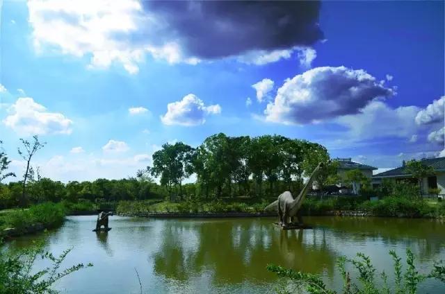 魔都旅游巴士,魔都游玩路线图