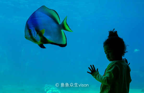 金银岛是真实存在的吗,金银岛神秘之谜