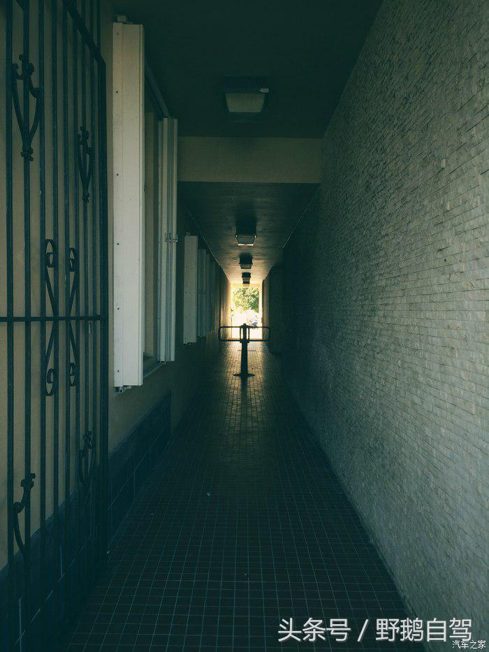 野鹅旅行,野鹅自驾无人区