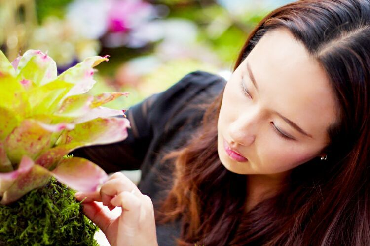 向阳的玻璃花房,玻璃花房设计建造