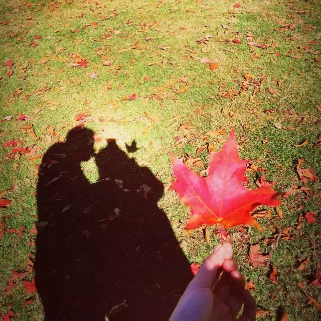 你们都错了，其实加拿大的秋季才是最厉害的时装大师