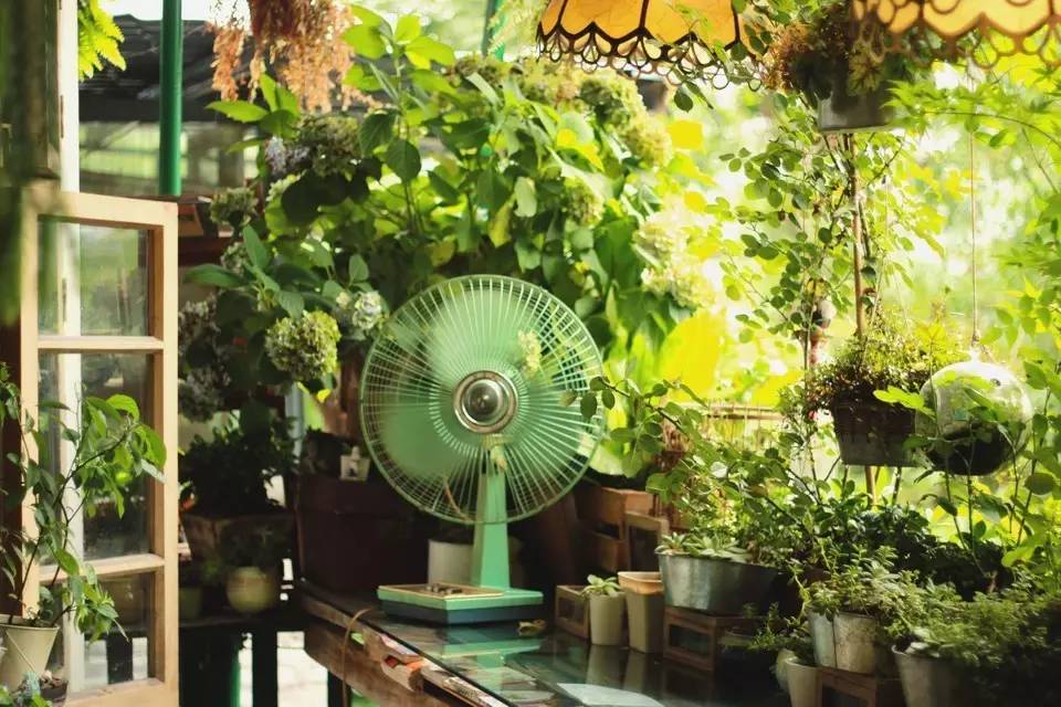 干货|从这些重庆小店路过，瞬间治愈蓝瘦香菇