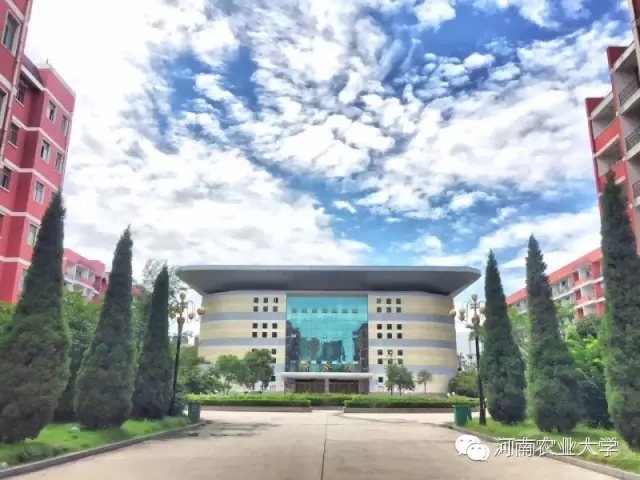 特别策划三分钟过后，农大小石榴马上开挂成老鸟！