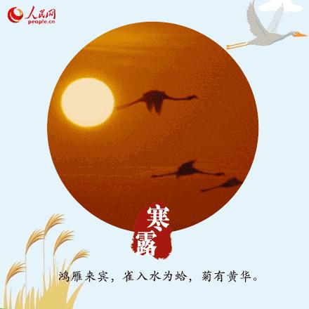 寒露可以露脚吗,寒露不宜露脚的危害