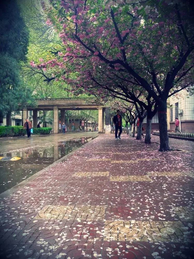 西法大,西法大以后还能评上双一流吗