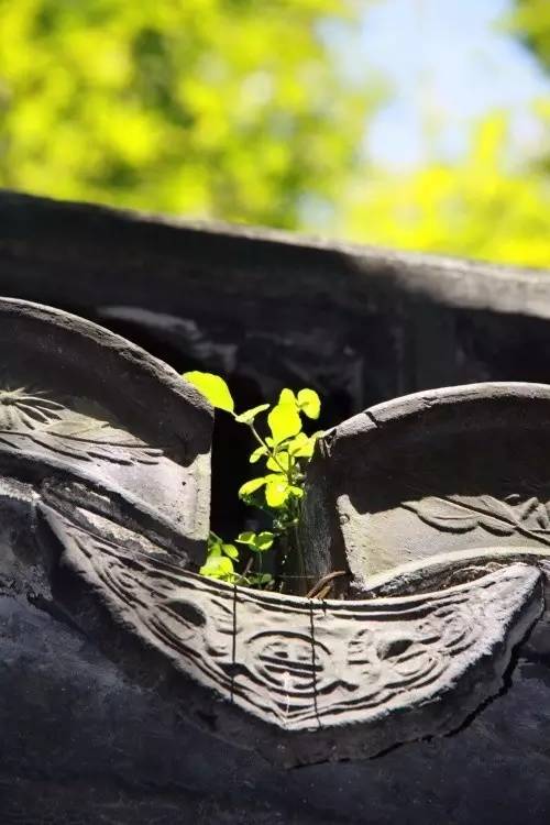 婉约派中国宋词的柔美之风,柔美的古诗赏析