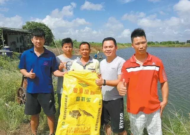 罗非鱼和虾混养需要注意什么,罗非鱼混养白虾技术