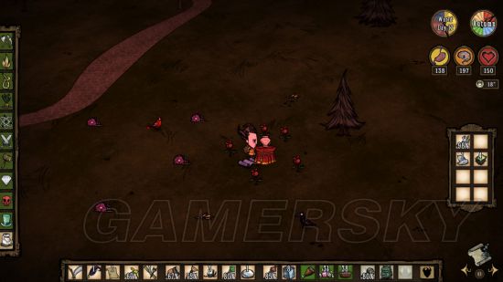 饥荒联机版gawr怎么玩,饥荒联机版ns新手攻略