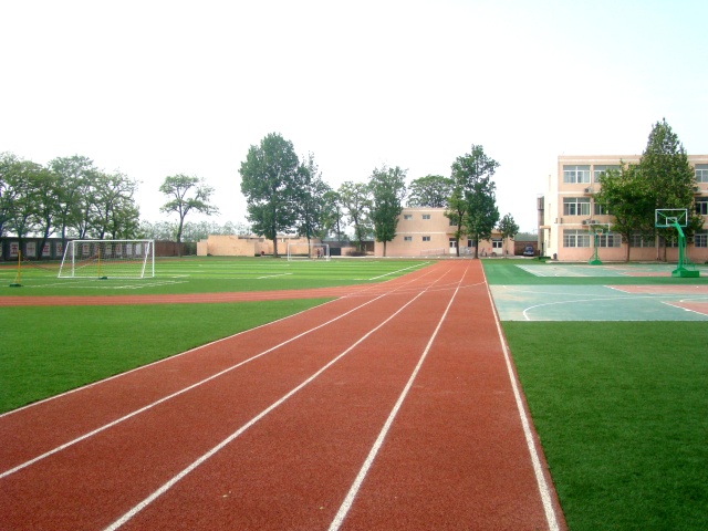 国际港务区有什么好的公办初中吗,国际港务区哪个小学最好