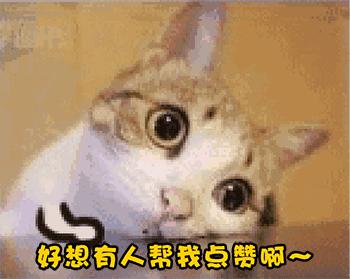 老司机12分扣完之后要怎样,老司机扣完12分