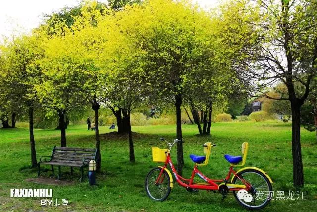 伏尔加庄园一日游都有什么玩儿的,伏尔加庄园怎么吃住玩