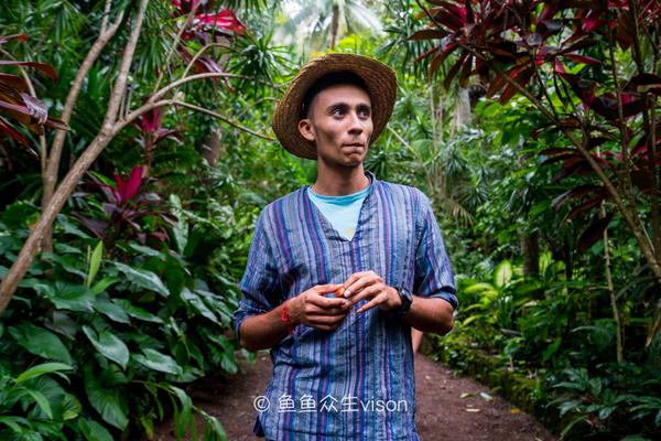 揭秘金银岛宝藏之谜,金银岛神秘之谜