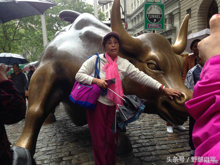 野鹅旅行,野鹅自驾无人区