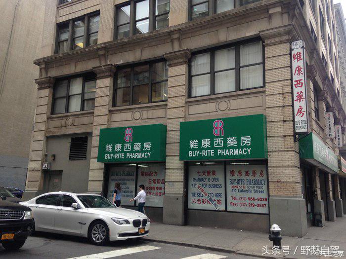 野鹅旅行,野鹅自驾无人区